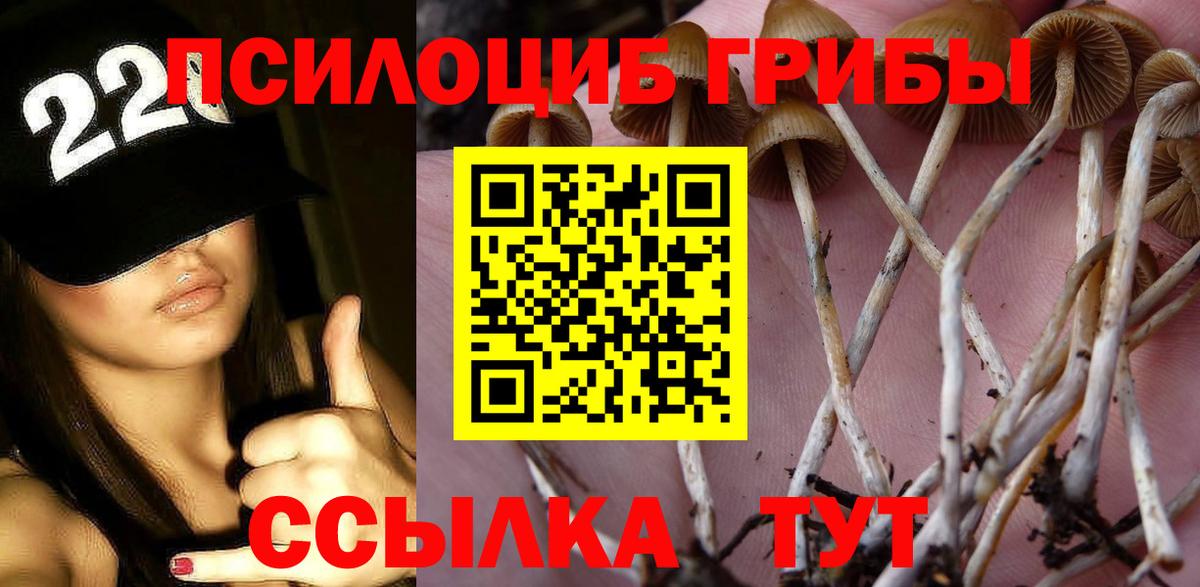 Псилоцибиновые грибы Cubensis  Вход с VPN  Лесосибирск 